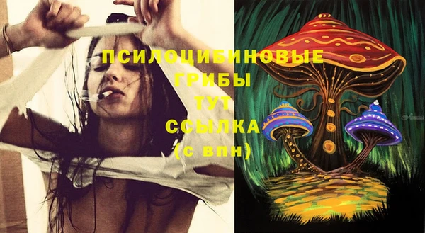 спайс Сатка