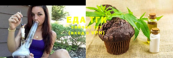 хмурый Алексин