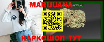 прущие крисы Гатчина