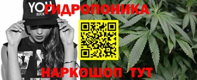 каннабис Гай