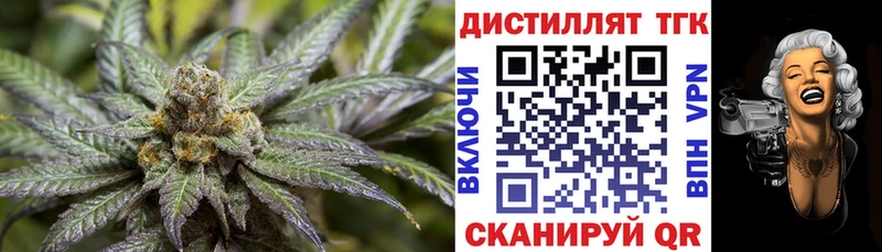 ТГК Wax  Зеленогорск 