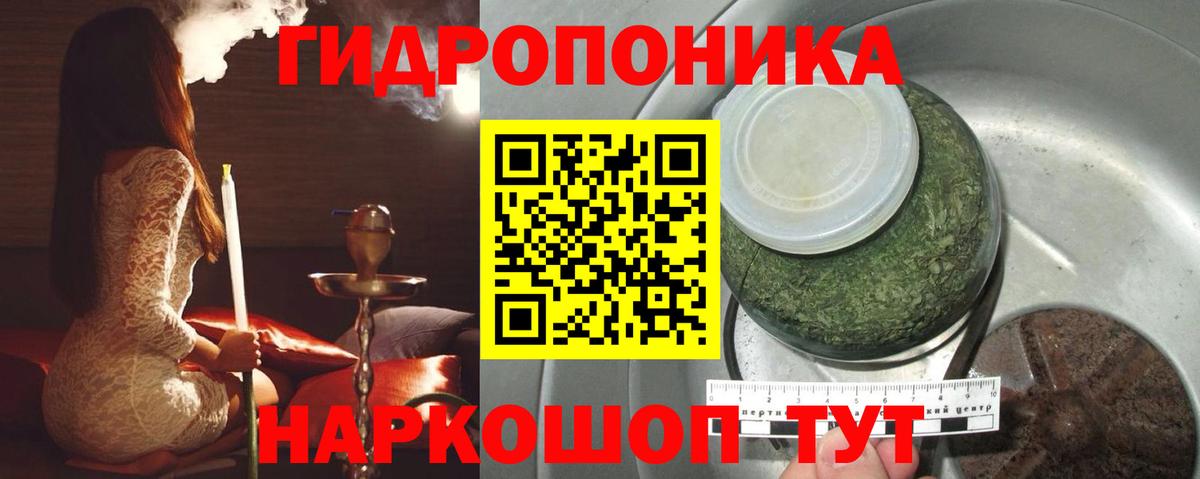 Шишки марихуана White Widow Зеленогорск
